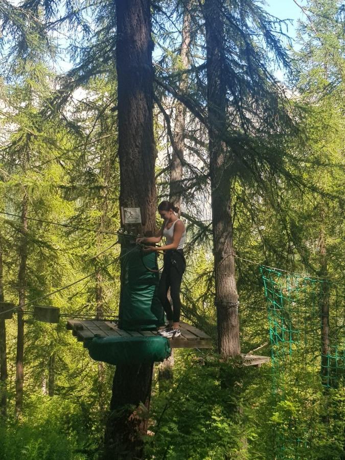 Le Hameau Des Ecrins Station 1800 Appartement *